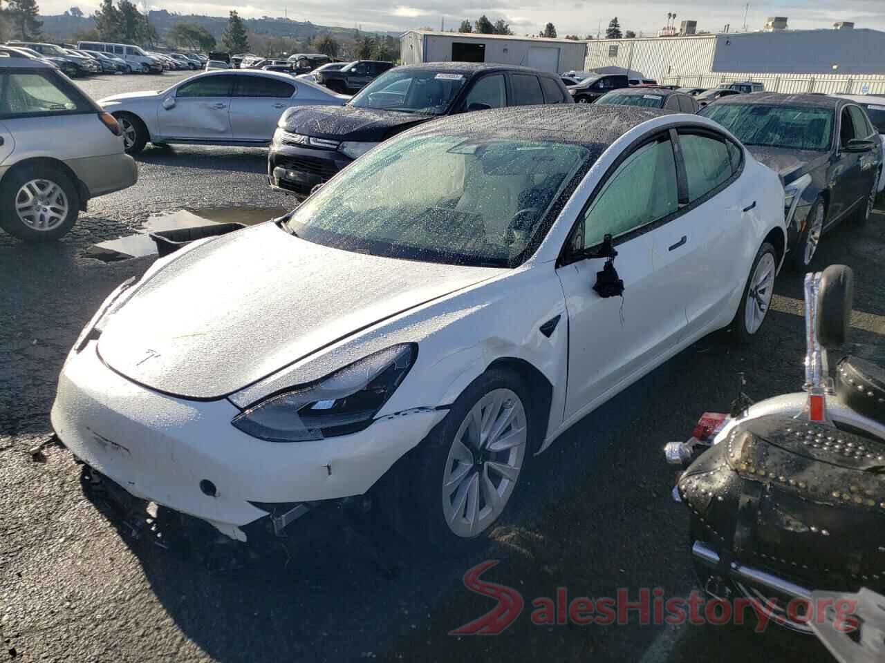 5YJ3E1EB0MF032548 2021 TESLA MODEL 3