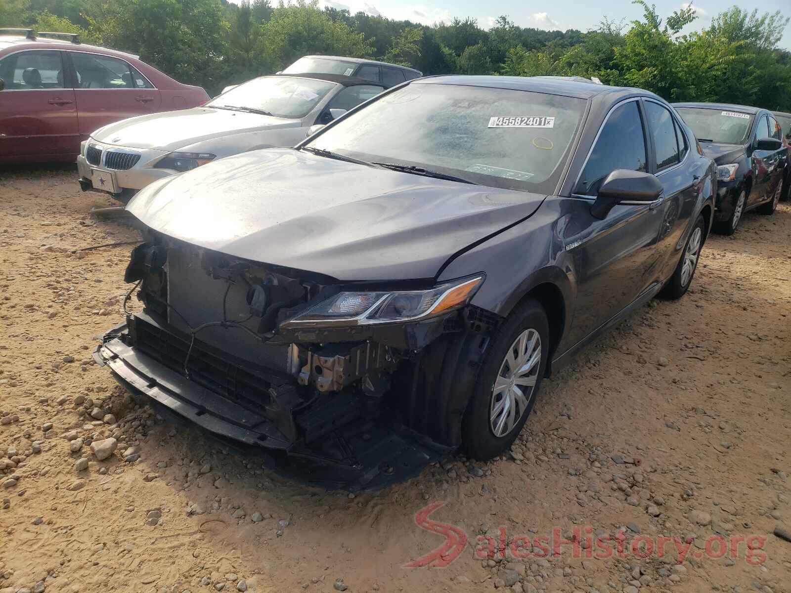 4T1B31HK1KU515169 2019 TOYOTA CAMRY