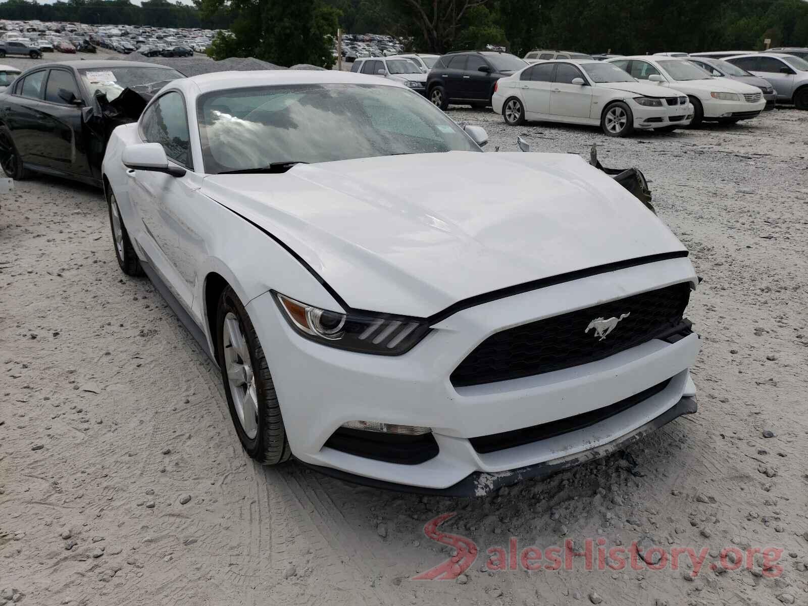 1FA6P8AM2H5319667 2017 FORD MUSTANG