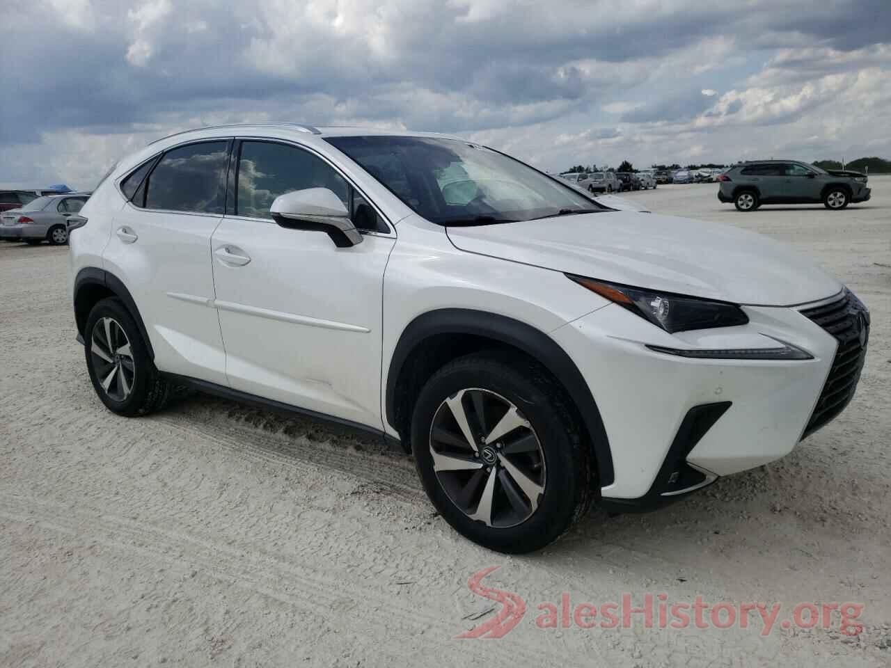 JTJBARBZ7K2197503 2019 LEXUS NX