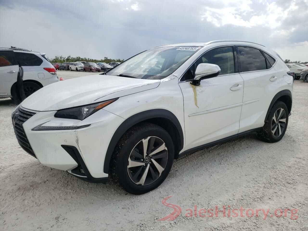 JTJBARBZ7K2197503 2019 LEXUS NX