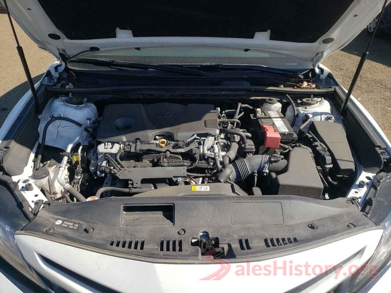 4T1B61HK7KU799320 2019 TOYOTA CAMRY