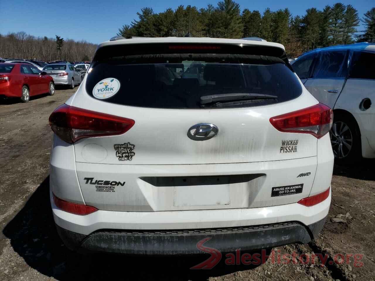 KM8J3CA43HU552428 2017 HYUNDAI TUCSON