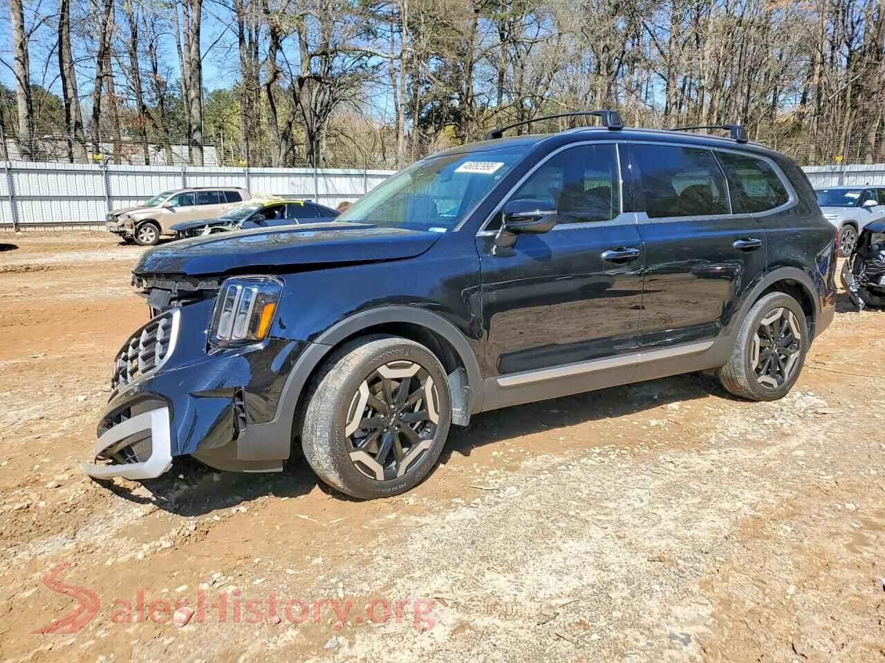 5XYP64GC8RG525867 2024 KIA TELLURIDE