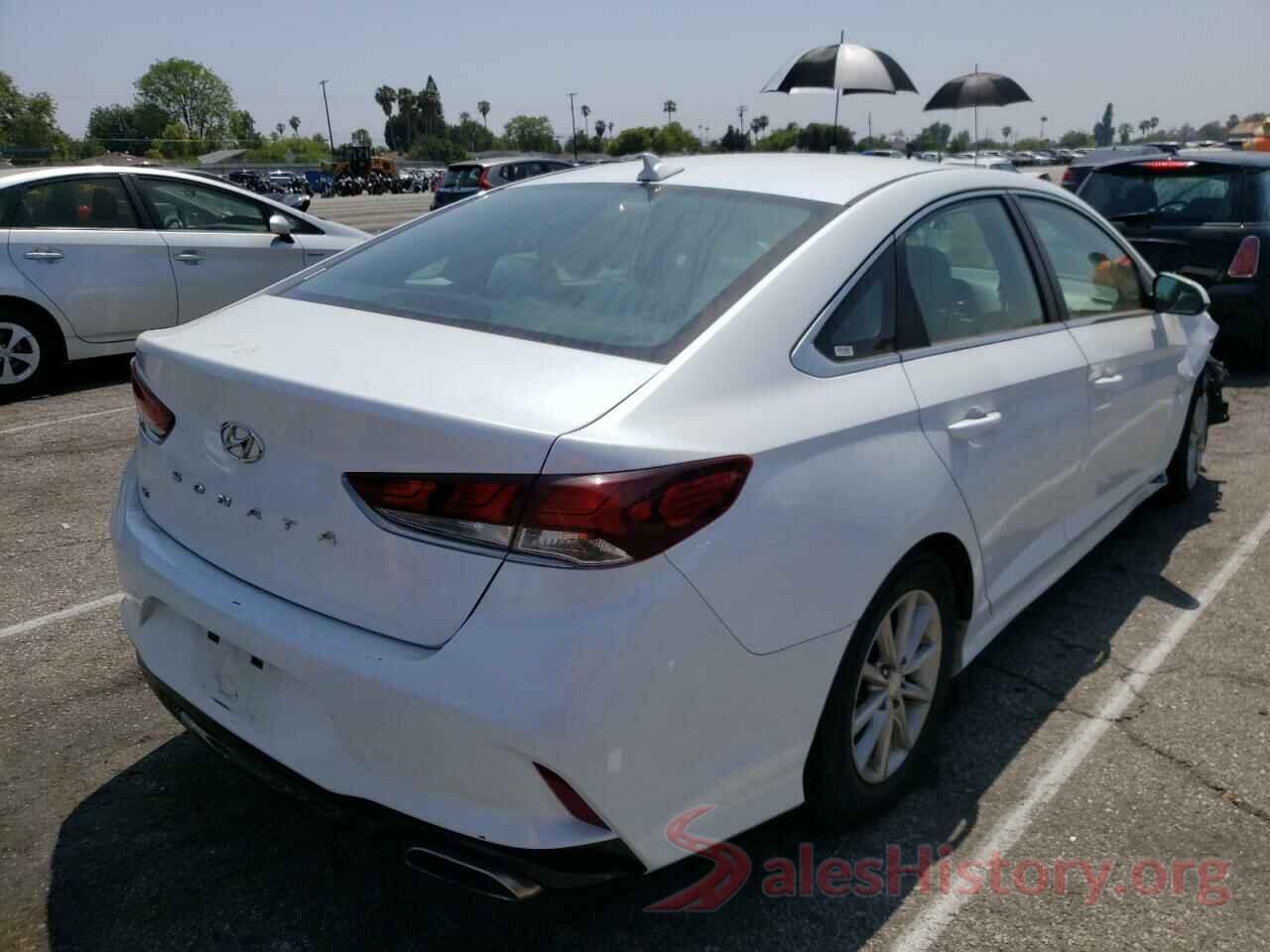 5NPE24AF0KH775804 2019 HYUNDAI SONATA