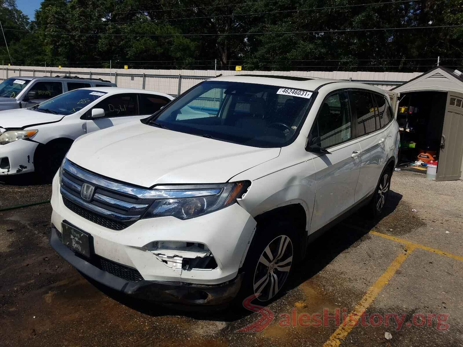 5FNYF5H64GB033392 2016 HONDA PILOT