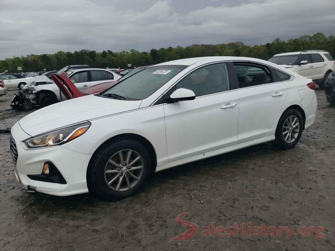 5NPE24AF6KH783499 2019 HYUNDAI SONATA