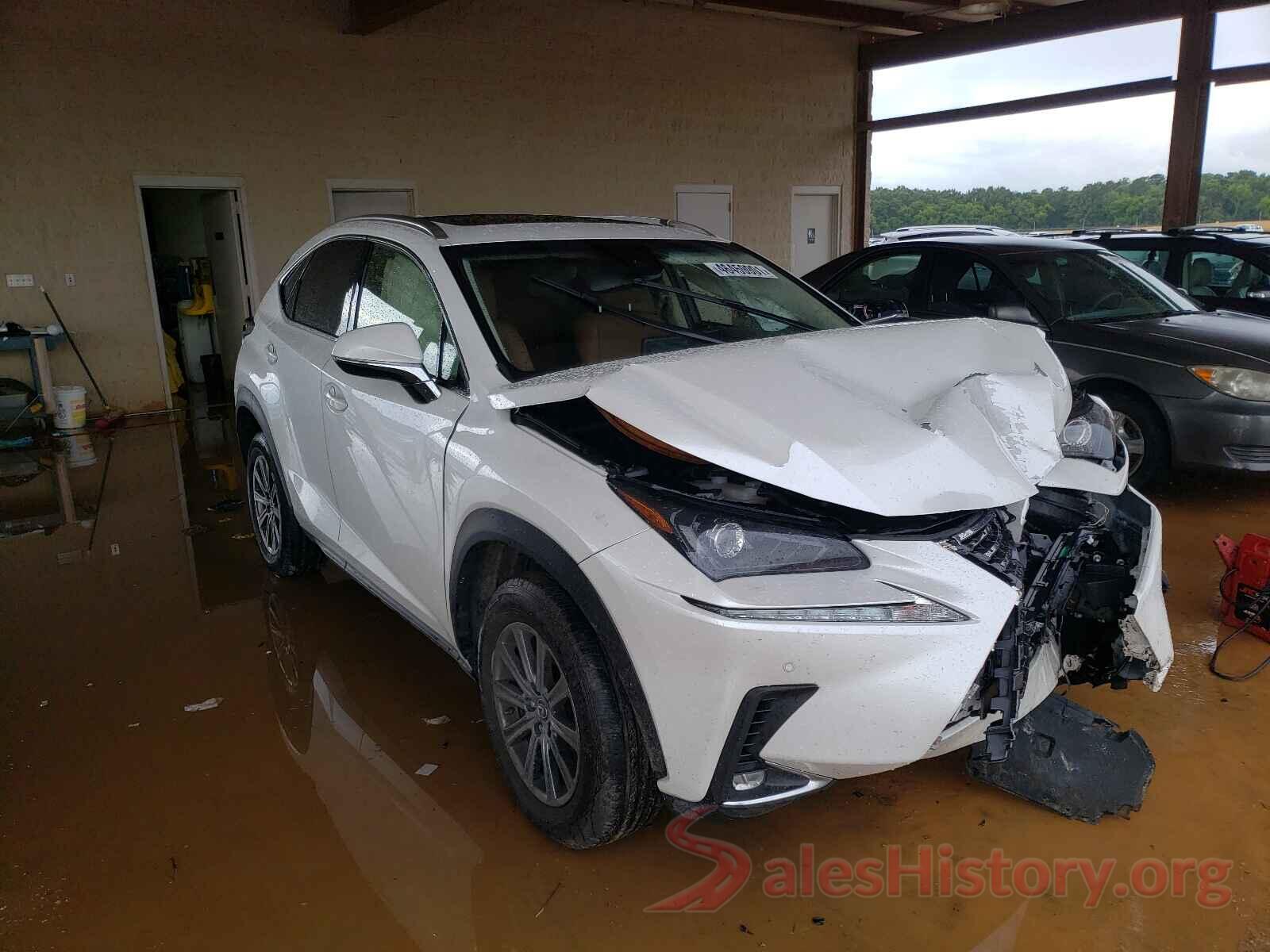 JTJYARBZXJ2097209 2018 LEXUS NX