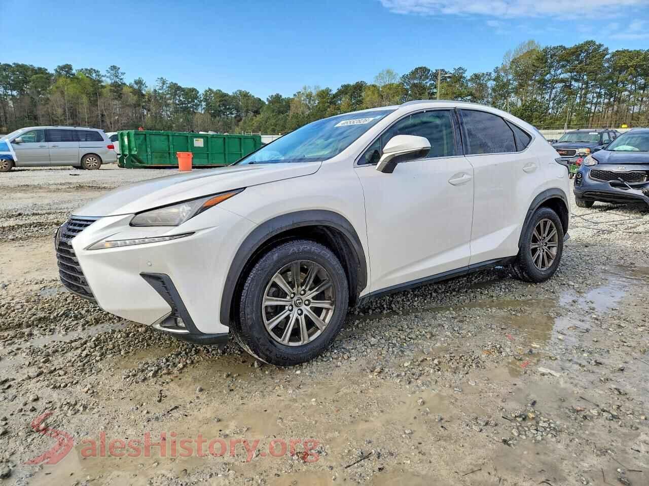 2019 LEXUS NX VIN JTJYARBZ3K2131508, auction photo
