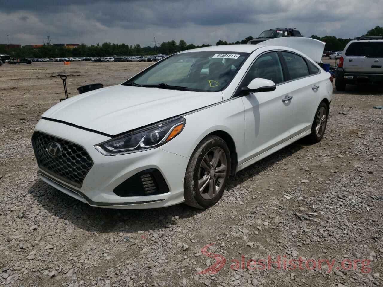 5NPE34AF6KH810312 2019 HYUNDAI SONATA