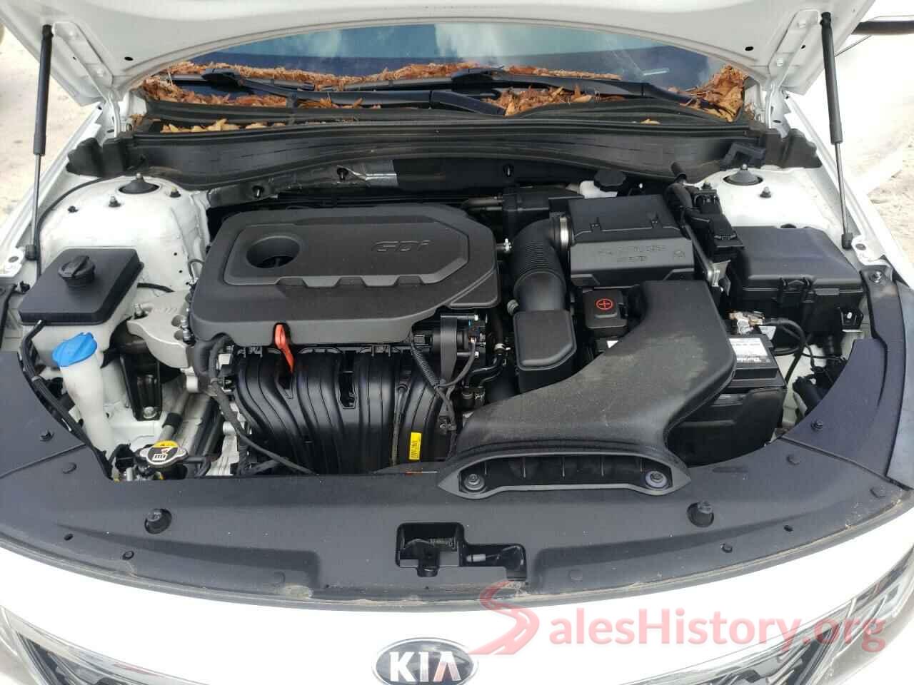 5XXGT4L3XKG313738 2019 KIA OPTIMA