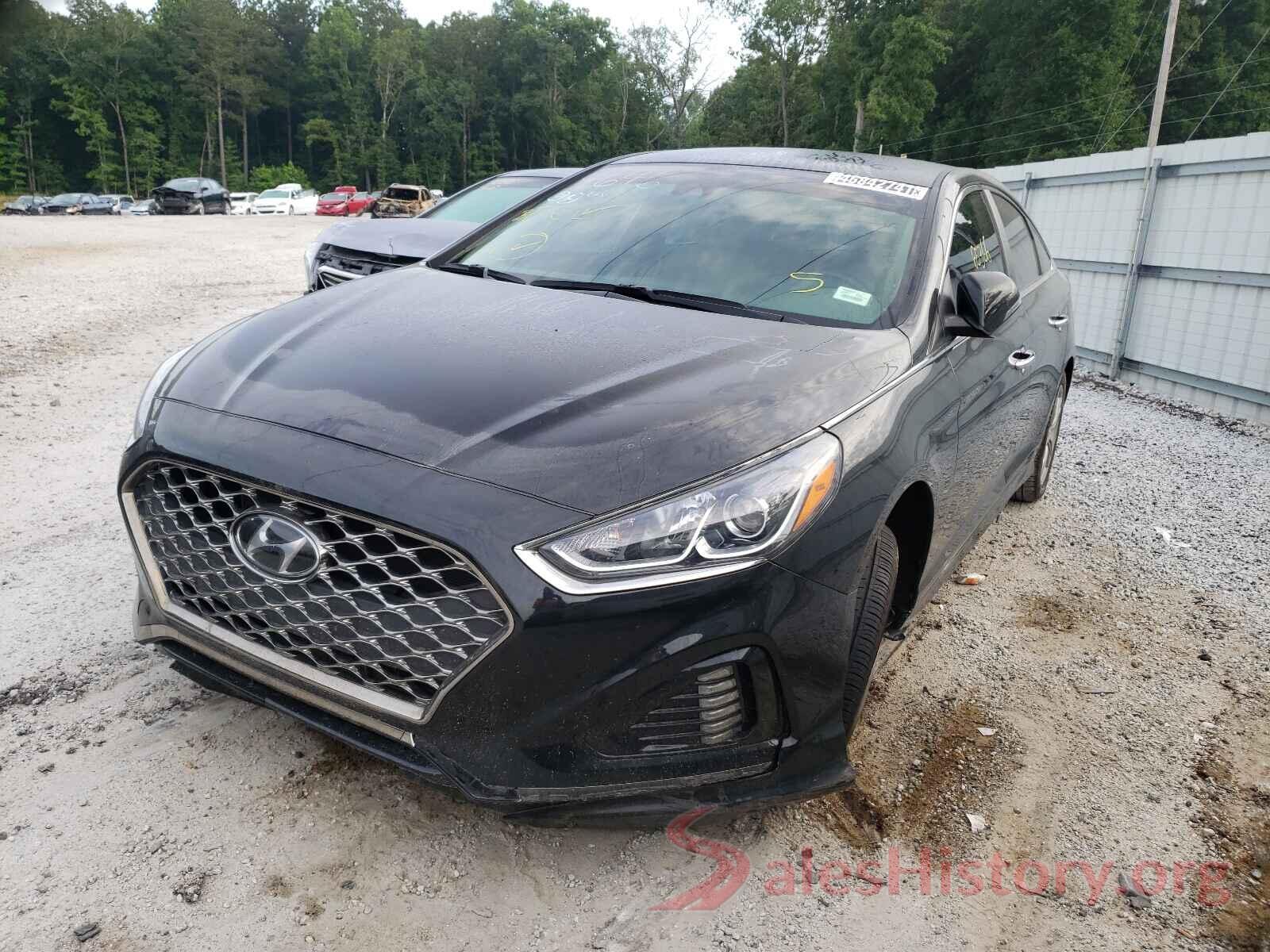 5NPE34AF1KH764646 2019 HYUNDAI SONATA