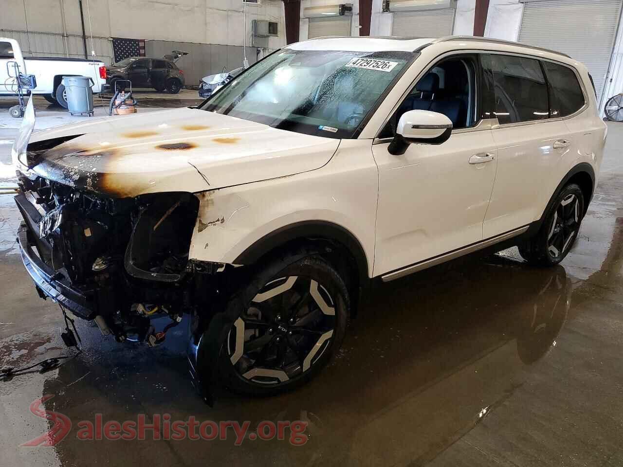 5XYP6DGC4RG483438 2024 KIA TELLURIDE