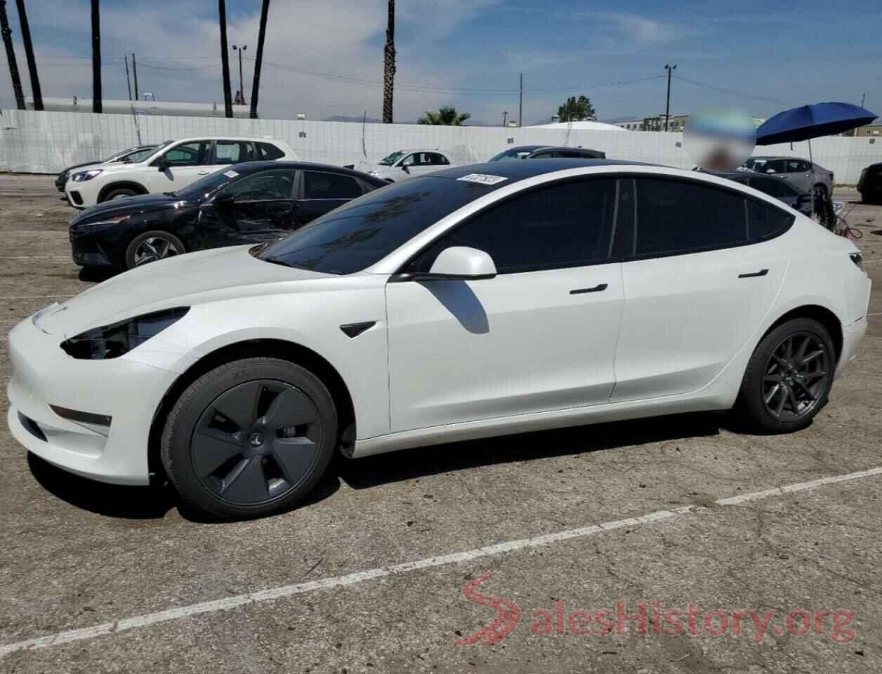 5YJ3E1EB3NF248850 2022 TESLA MODEL 3