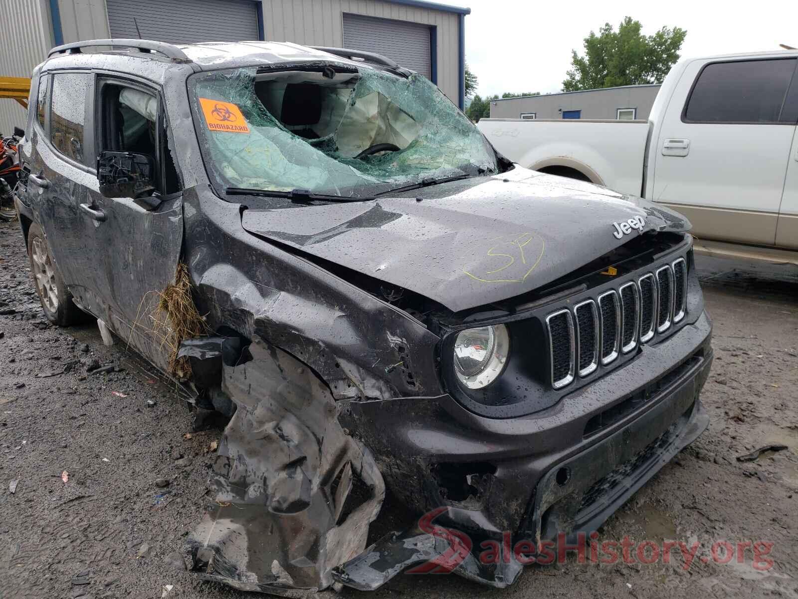 ZACNJBAB1KPK50369 2019 JEEP RENEGADE