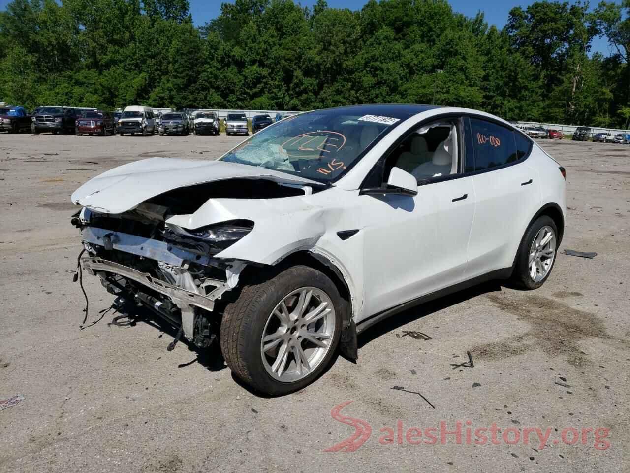 5YJYGDEE6MF087176 2021 TESLA MODEL Y