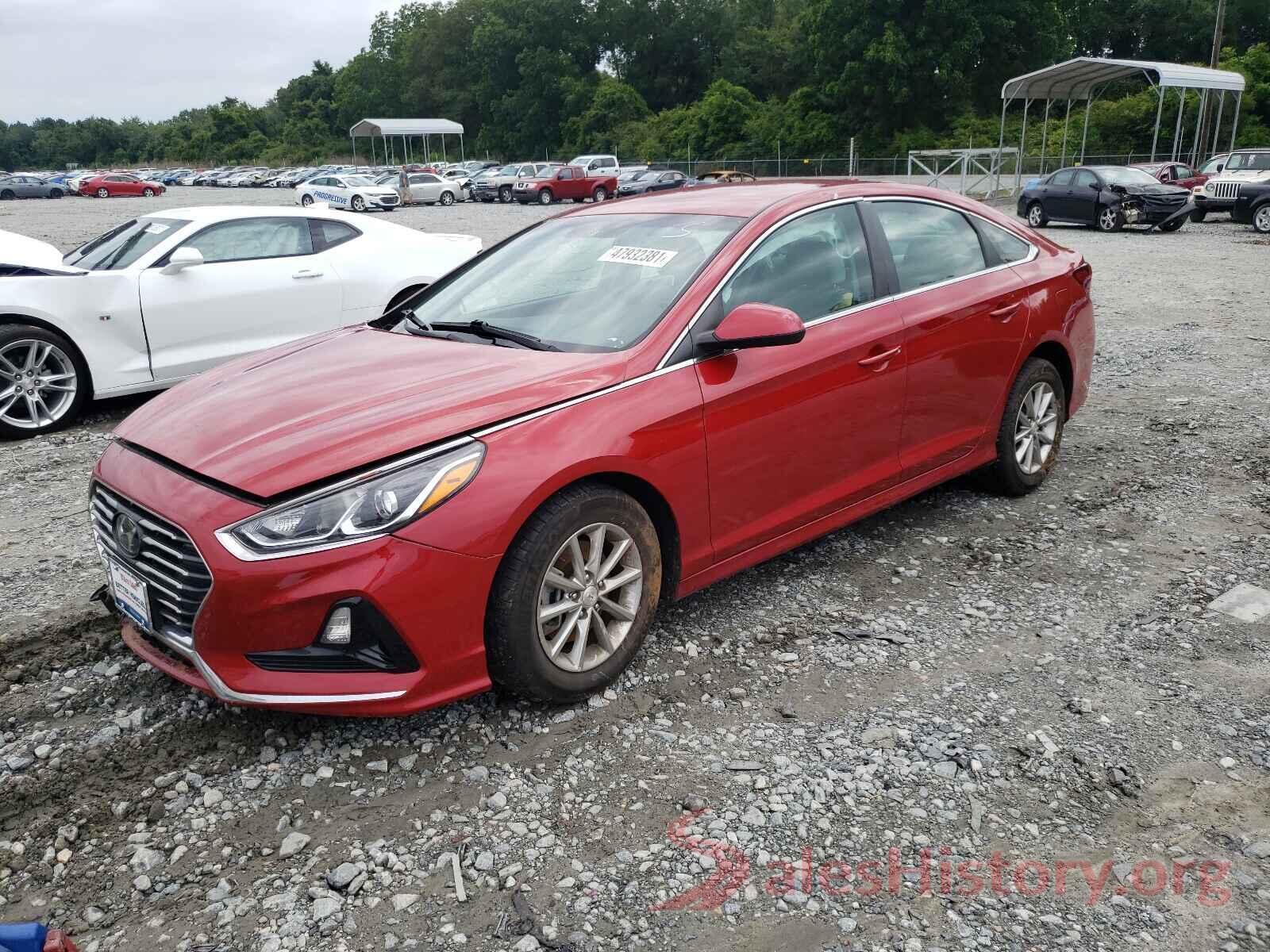 5NPE24AF4KH774896 2019 HYUNDAI SONATA