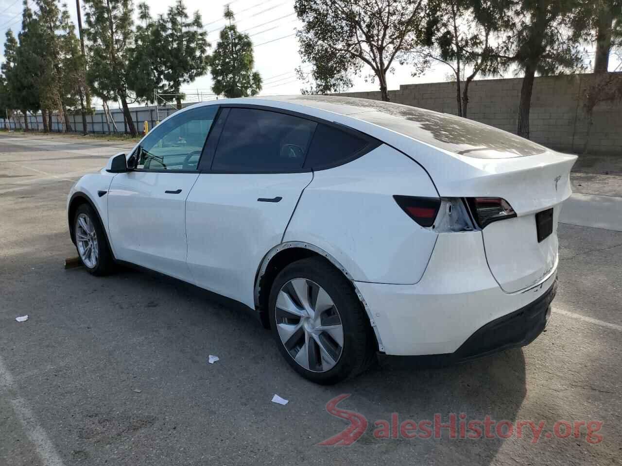 5YJYGDEE6MF087436 2021 TESLA MODEL Y