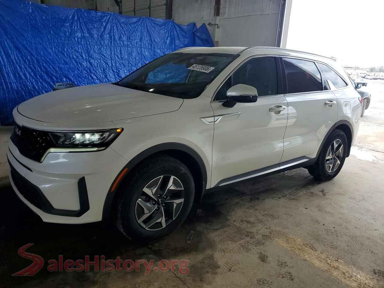 KNDRG4LG3N5090984 2022 KIA SORENTO