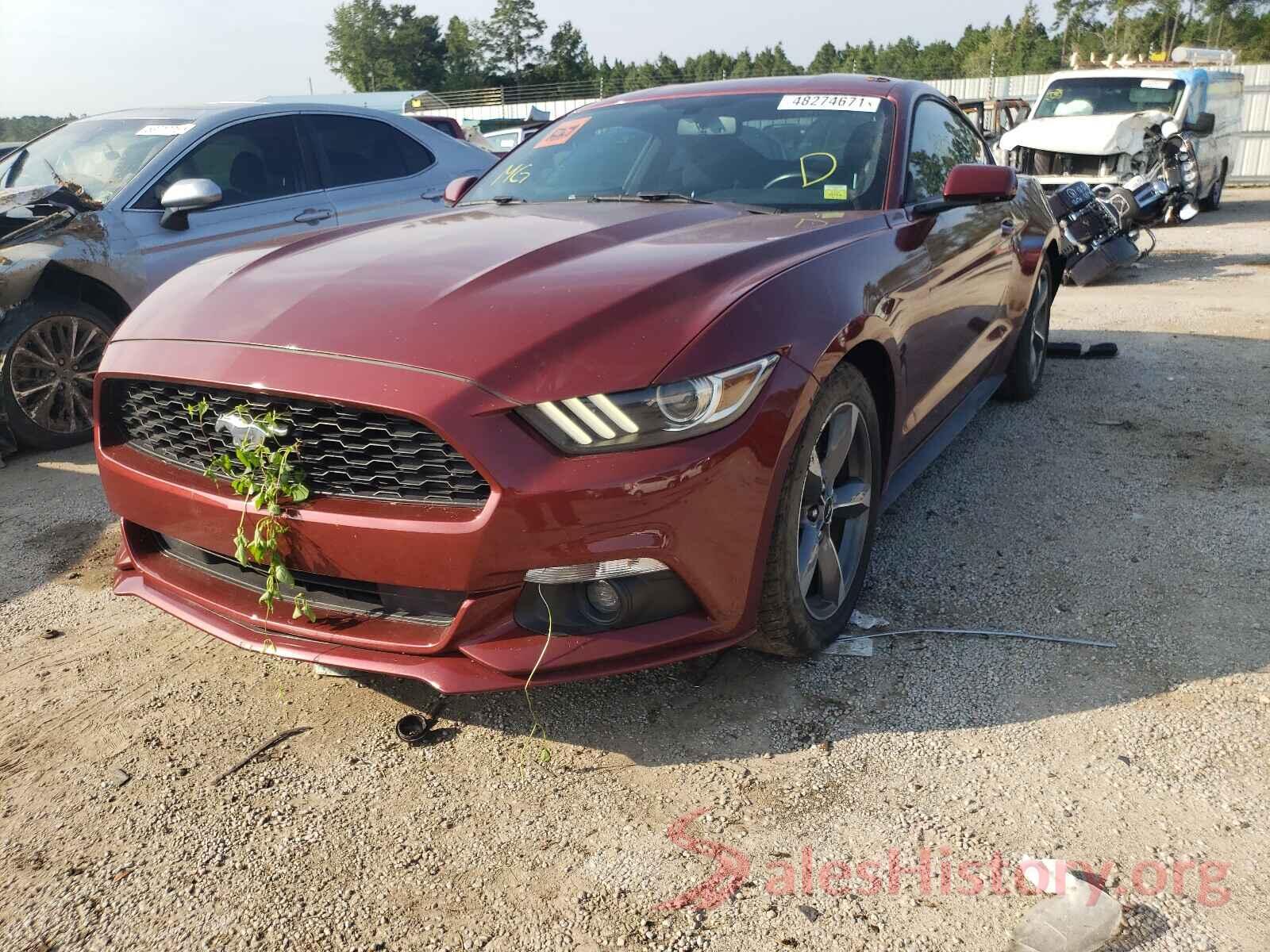 1FA6P8AM4G5250690 2016 FORD MUSTANG