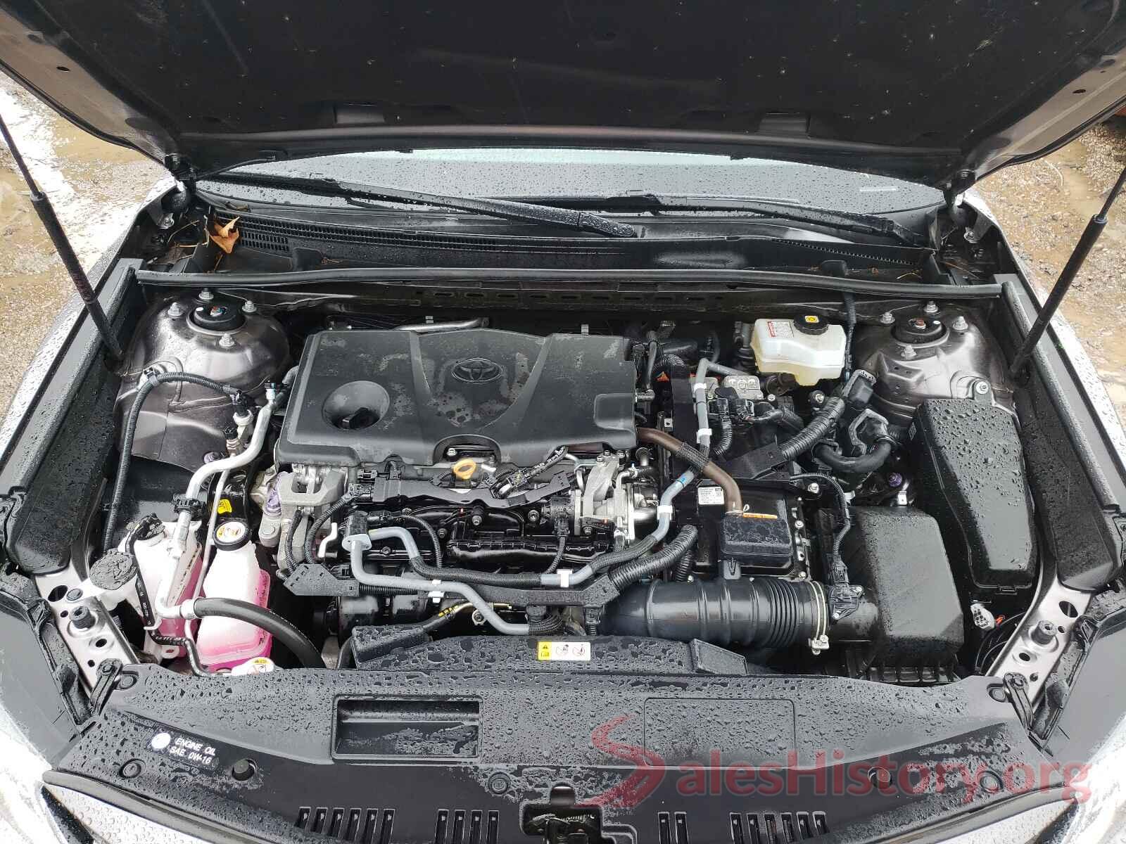 4T1B31HK3KU510829 2019 TOYOTA CAMRY