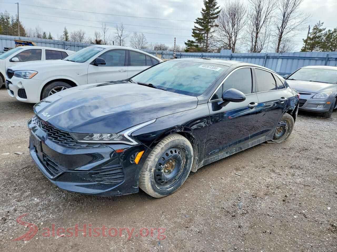 5XXG64J26PG205688 2023 KIA K5