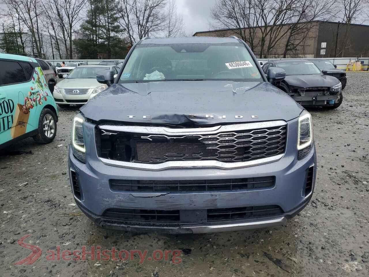 2021 KIA TELLURIDE VIN 5XYP6DHC1MG190474, rear view