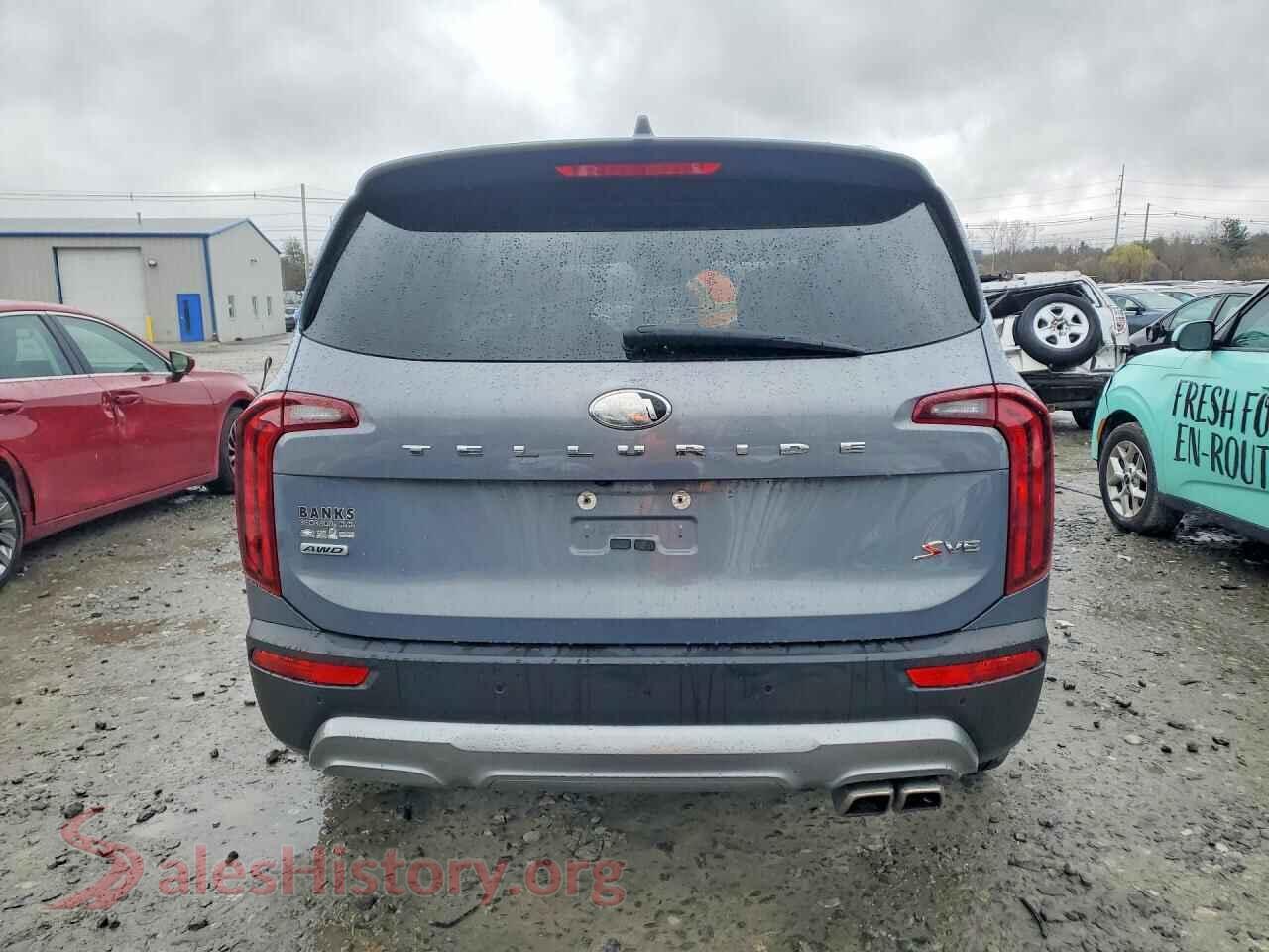 2021 KIA TELLURIDE VIN 5XYP6DHC1MG190474, left side view