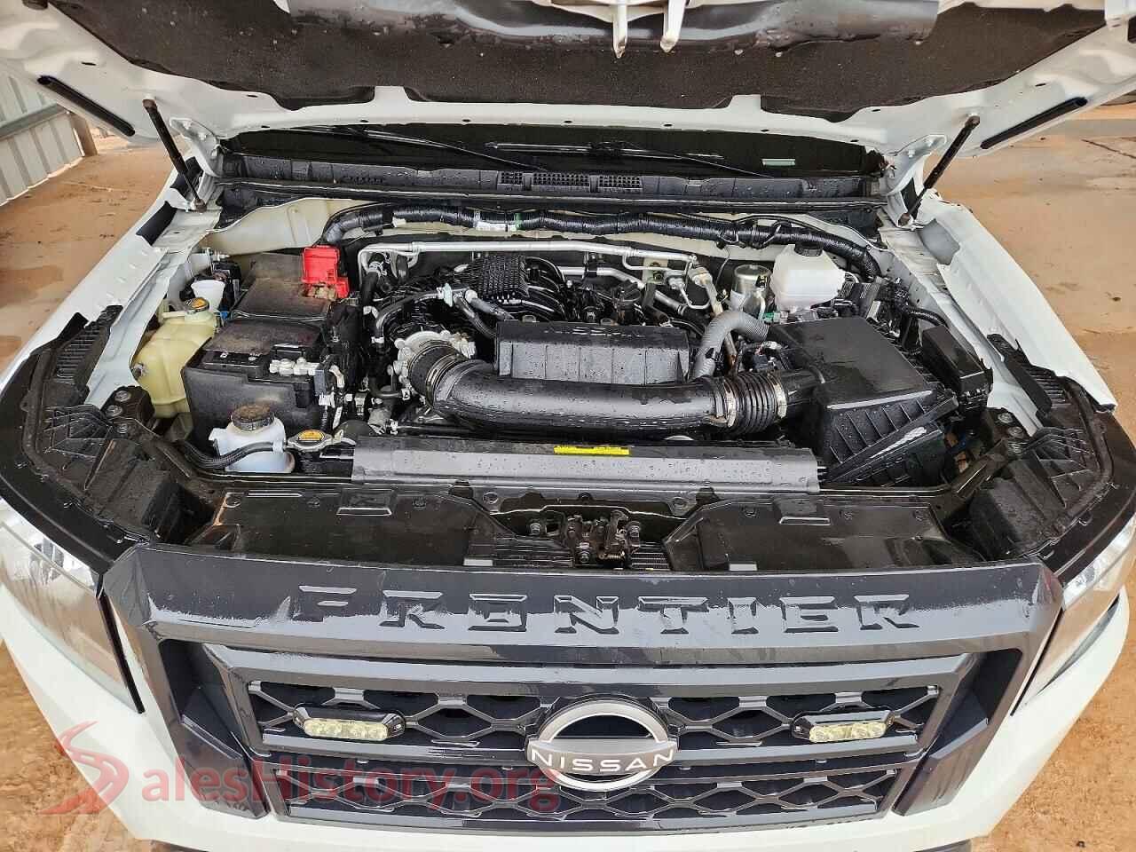 2024 NISSAN FRONTIER VIN 1N6ED1CM9RN665927, VIN plate