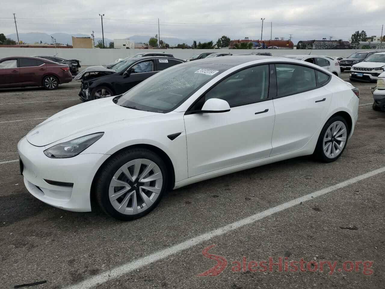 5YJ3E1EA9PF459352 2023 TESLA MODEL 3