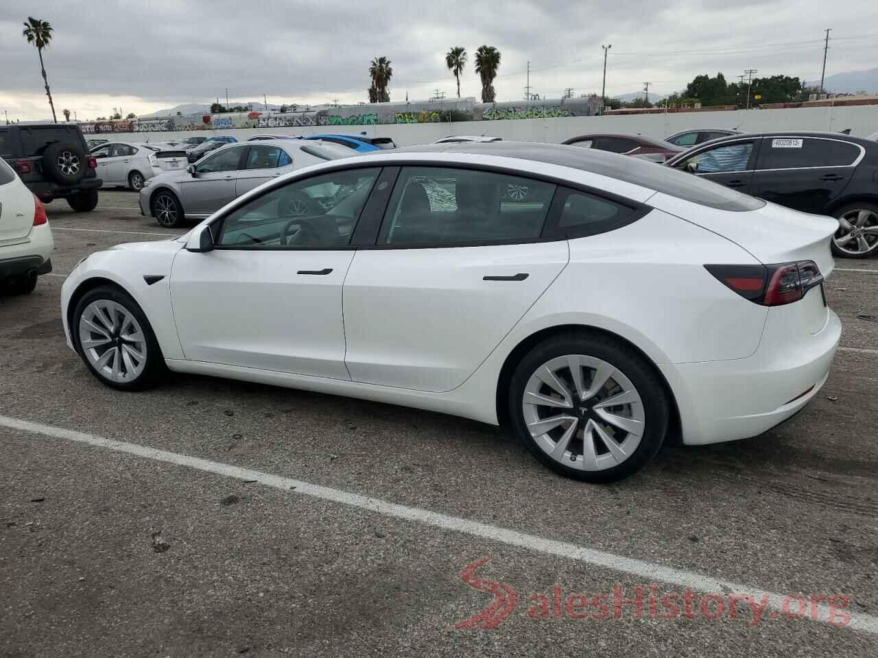 5YJ3E1EA9PF459352 2023 TESLA MODEL 3