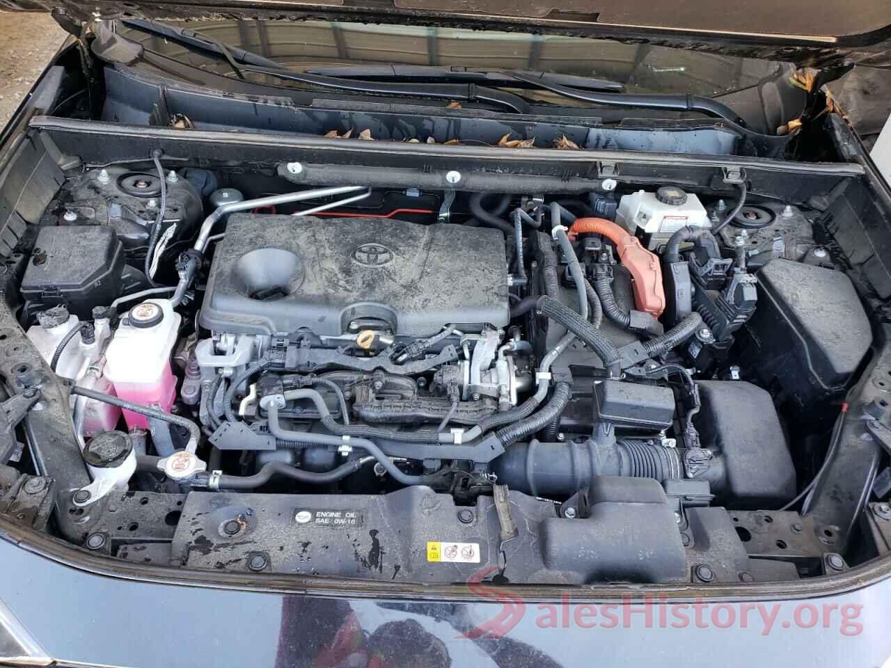 2T3RWRFV9KW019240 2019 TOYOTA RAV4