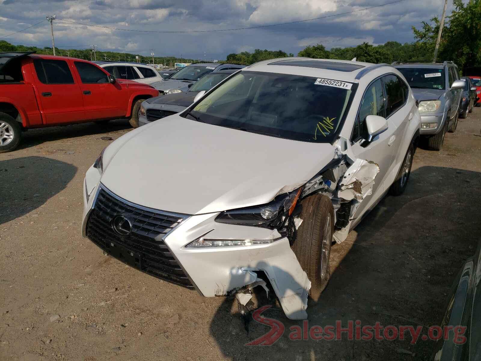 JTJDARDZ2M5026116 2021 LEXUS NX