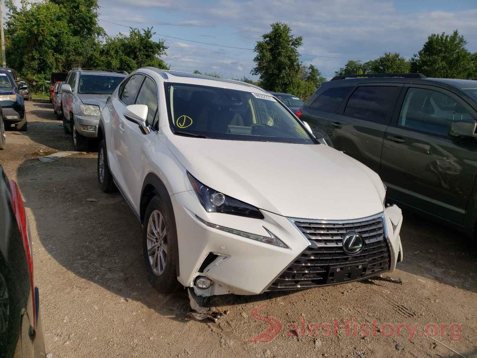 JTJDARDZ2M5026116 2021 LEXUS NX