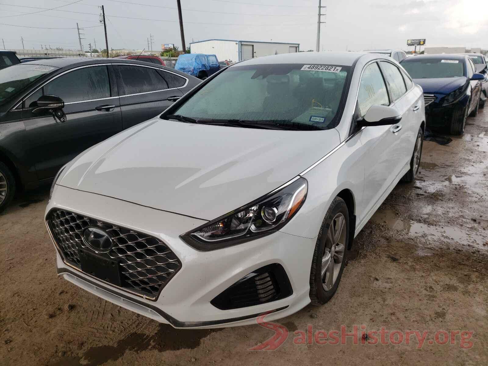 5NPE34AF1KH807091 2019 HYUNDAI SONATA