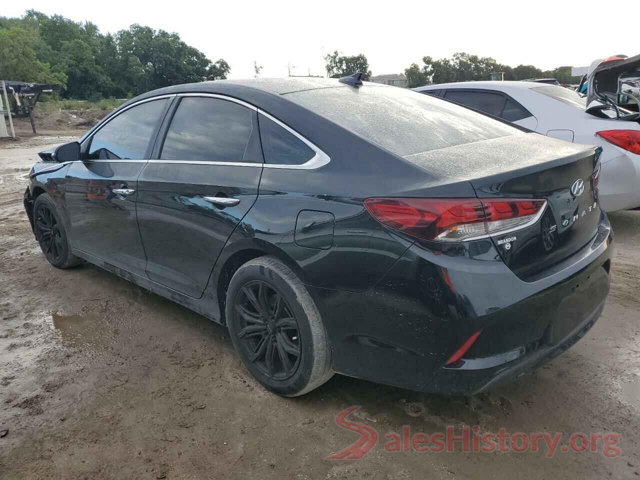 5NPE34AF4KH759571 2019 HYUNDAI SONATA