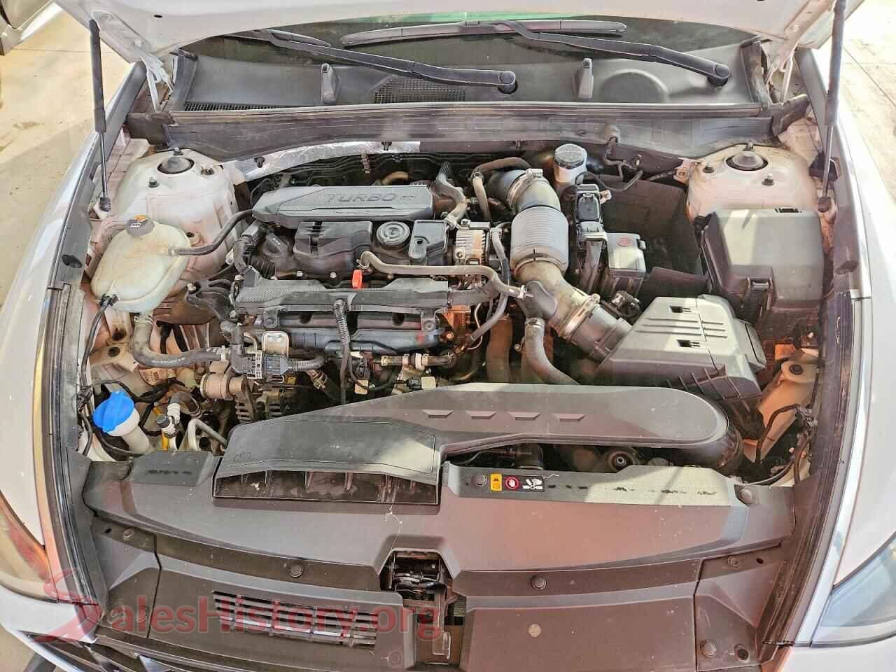2020 HYUNDAI SONATA VIN 5NPEH4J2XLH006899, VIN plate