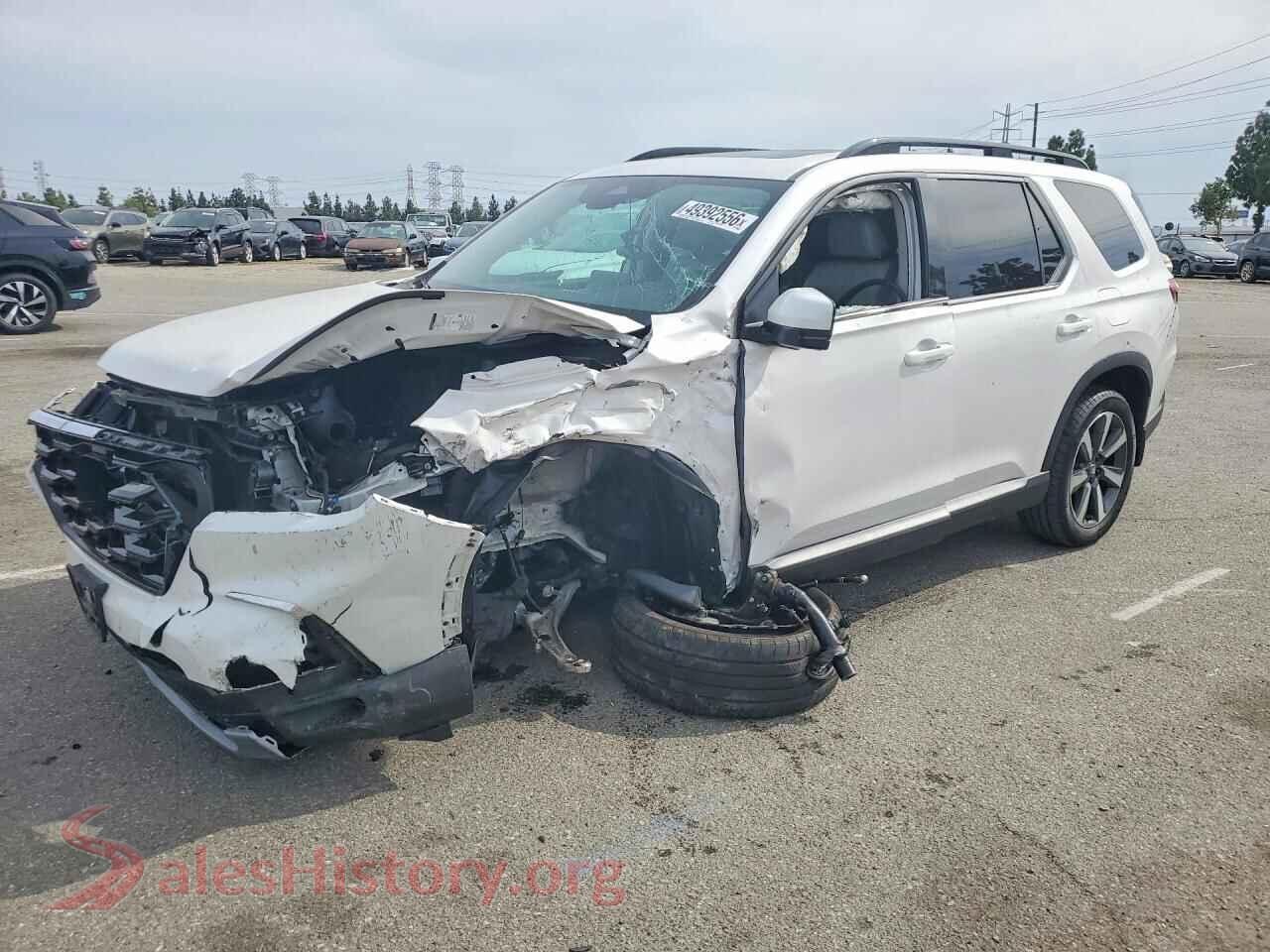 5FNYG2H7XRB010965 2024 HONDA PILOT