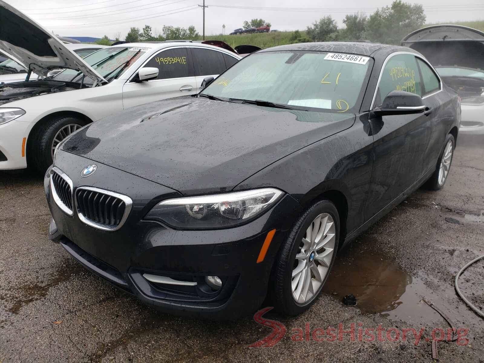 WBA1G9C51GV598900 2016 BMW 2 SERIES