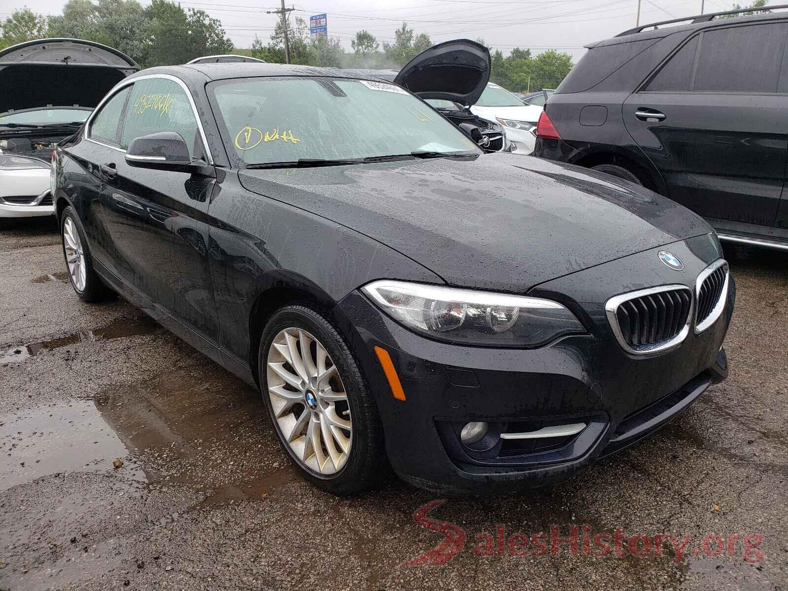 WBA1G9C51GV598900 2016 BMW 2 SERIES