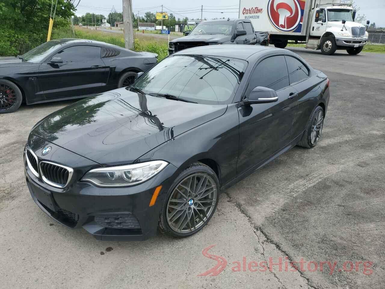 WBA1F5C58GV344094 2016 BMW 2 SERIES