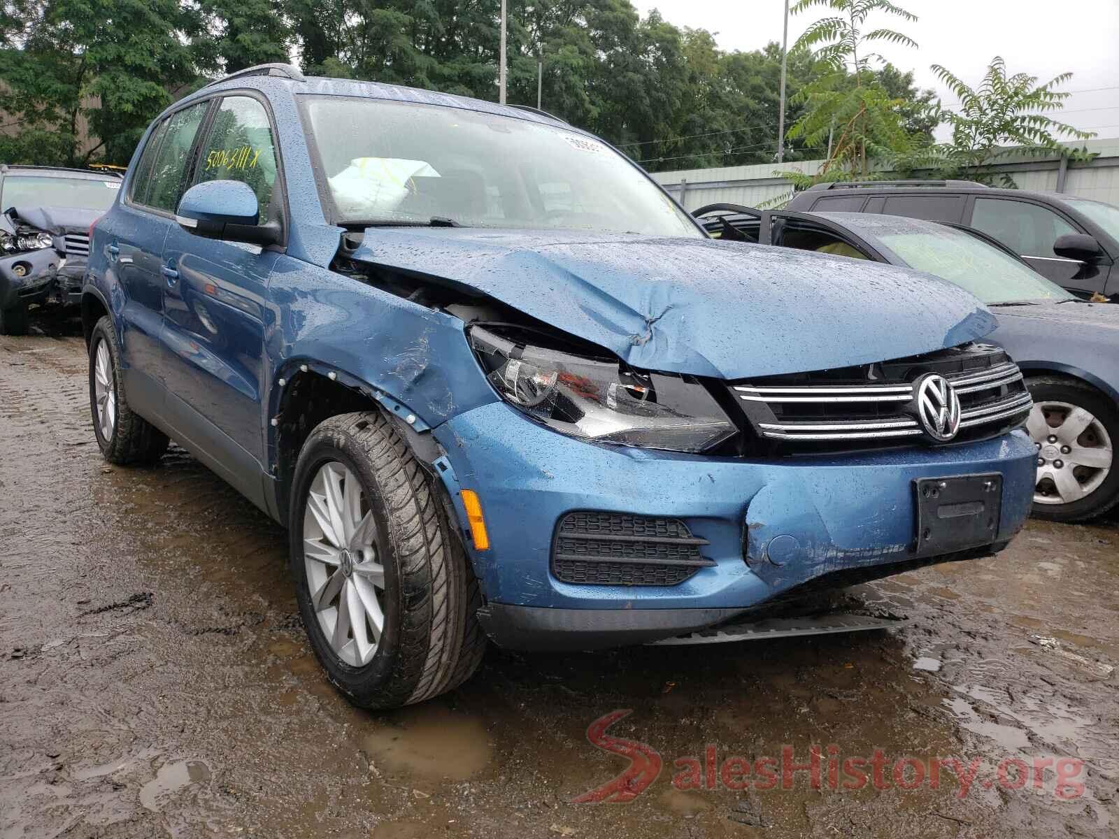 WVGBV7AX7HK028260 2017 VOLKSWAGEN TIGUAN