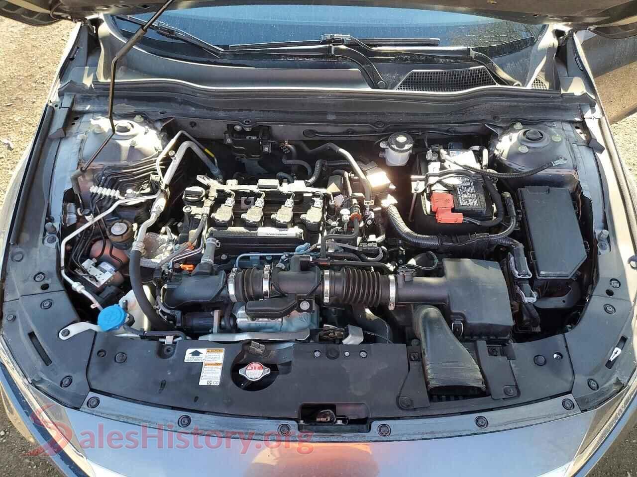 2019 HONDA ACCORD VIN 1HGCV1F54KA800838, VIN plate