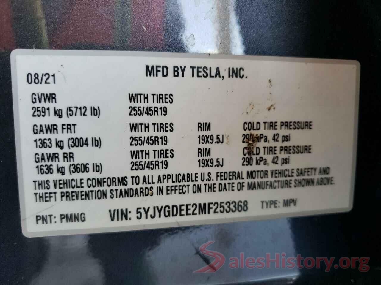 5YJYGDEE2MF253368 2021 TESLA MODEL Y