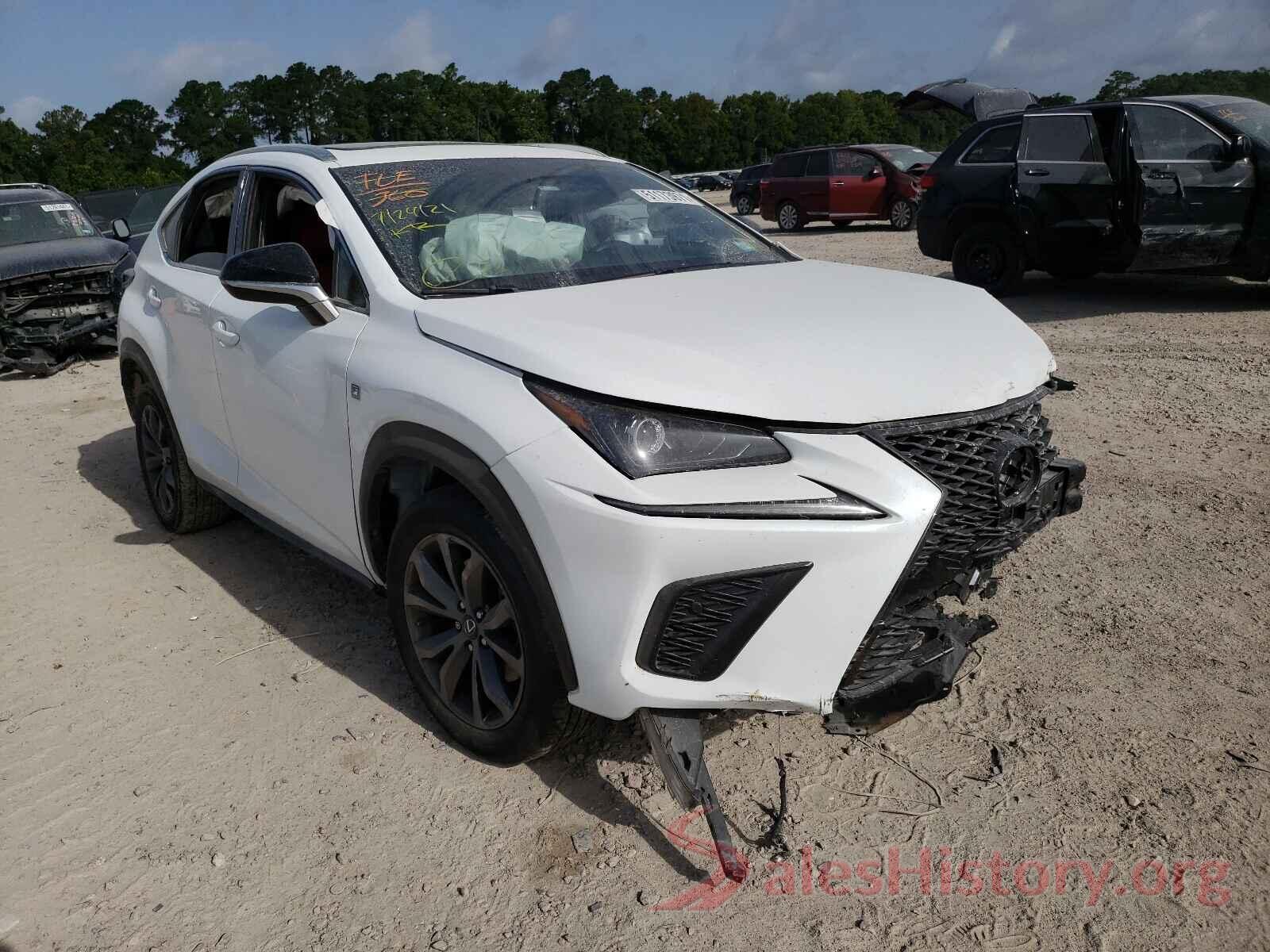 JTJYARBZ5K2122373 2019 LEXUS NX