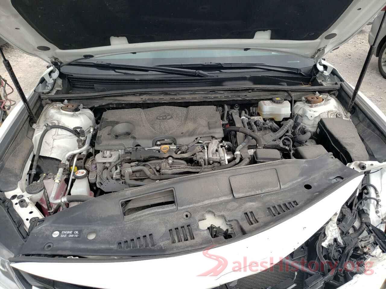 4T1C31AK8LU521650 2020 TOYOTA CAMRY