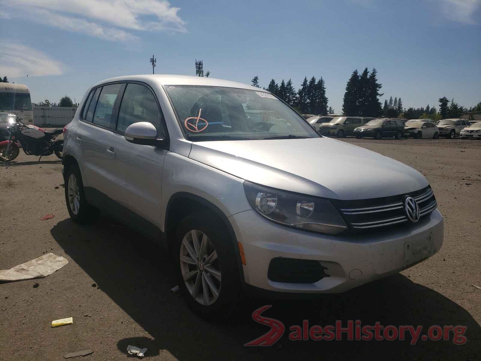 WVGBV7AX4HK042391 2017 VOLKSWAGEN TIGUAN