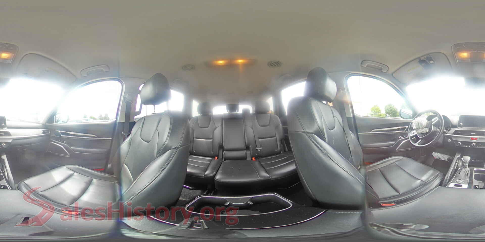 2020 KIA TELLURIDE VIN 5XYP2DHC1LG041802, auction photo 15