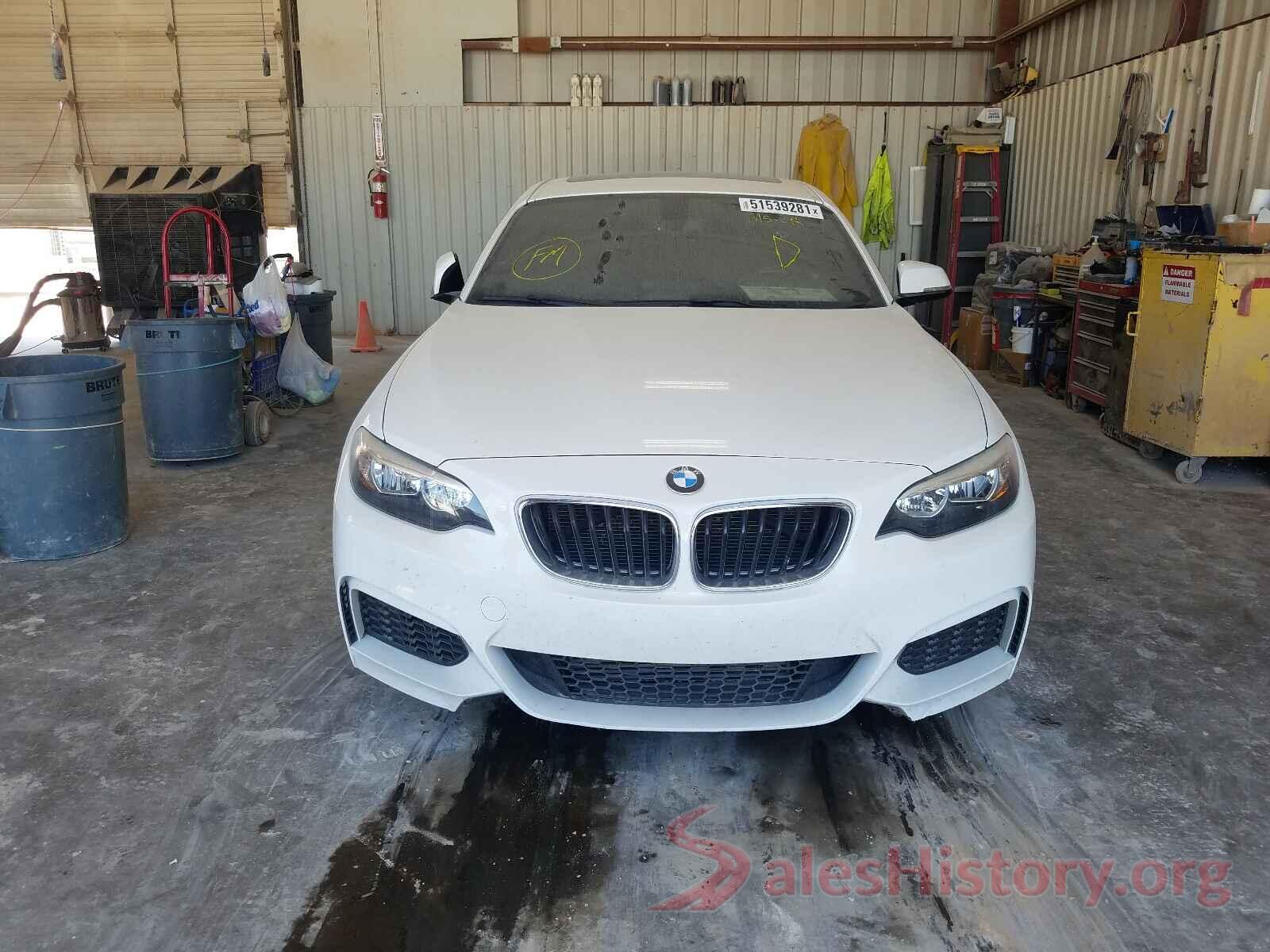 WBA1F9C53GV546493 2016 BMW 2 SERIES