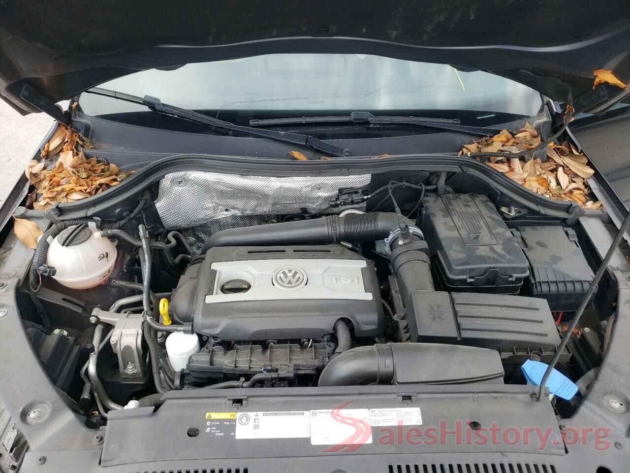 WVGAV7AX0HK010646 2017 VOLKSWAGEN TIGUAN